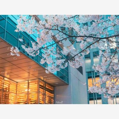 365在线手机app下载